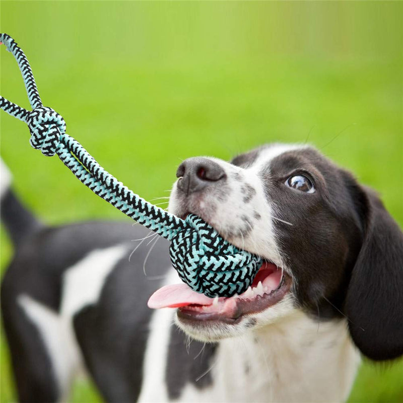 Large Dog Rope Toys for Aggressive Chewers, Snakeskin Pattern Durable Cotton Rope Chew Toy For Medium and Big Dogs - PawsPlanet Australia