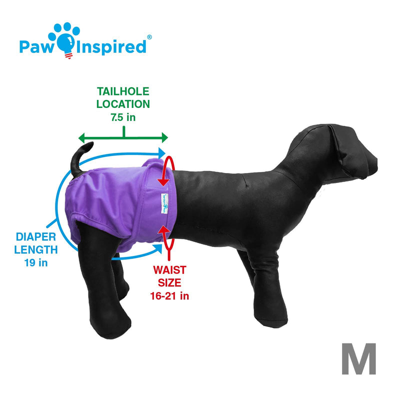 [Australia] - Paw Inspired 3ct Washable Dog Diapers | Reusable Dog Diapers | Washable Female Dog Diapers | Cloth Dog Diapers for Dogs in Heat, Puppy Diapers or Dog Incontinence Diapers Medium 