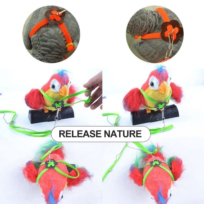 Pet Parrot Bird Harness, Bird Harness Leash, Bird Harness and Leash for Parrots Adjustable, Anti-bite Flight Training Rope Pet Traction Outdoor Fit Budgie Cockatiel Mynah - PawsPlanet Australia