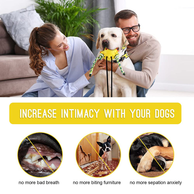 Dog Chew Toys for Aggressive Chewers Double Suction Cup Dog Toy Interactive Indestructible Dog Puzzle Toys Squeaky Molar Bite Ball for Teeth Cleaning Food Dispensing XL Dog Toys - PawsPlanet Australia