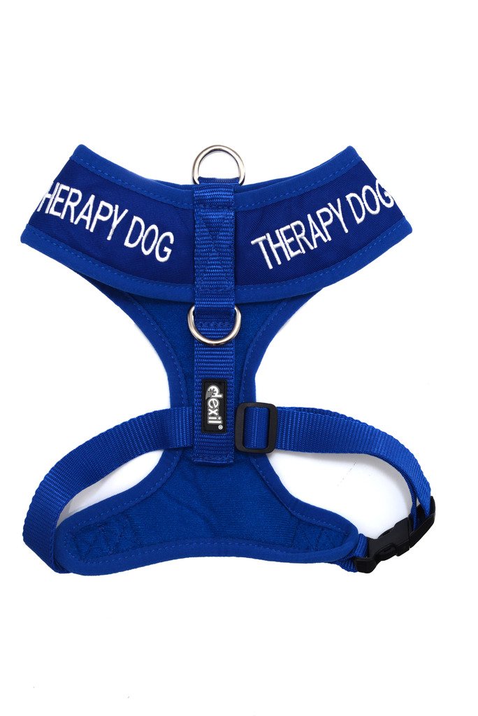 [Australia] - Dexil Limited Therapy Dog Blue Color Coded Non-Pull Front and Back D Ring Padded and Waterproof Vest Dog Harness Prevents Accidents by Warning Others of Your Dog in Advance Large Harness 22-32inch Chest 