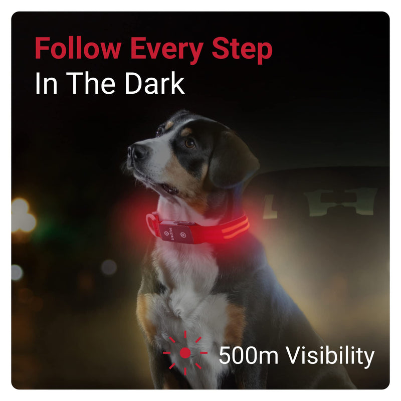 Tractive LED Light Up Dog Collar - 3 Light Modes for Night Walking, Waterproof, Rechargeable, Up to 10 Hours of Battery, Red (Large) LED Collar Large - PawsPlanet Australia