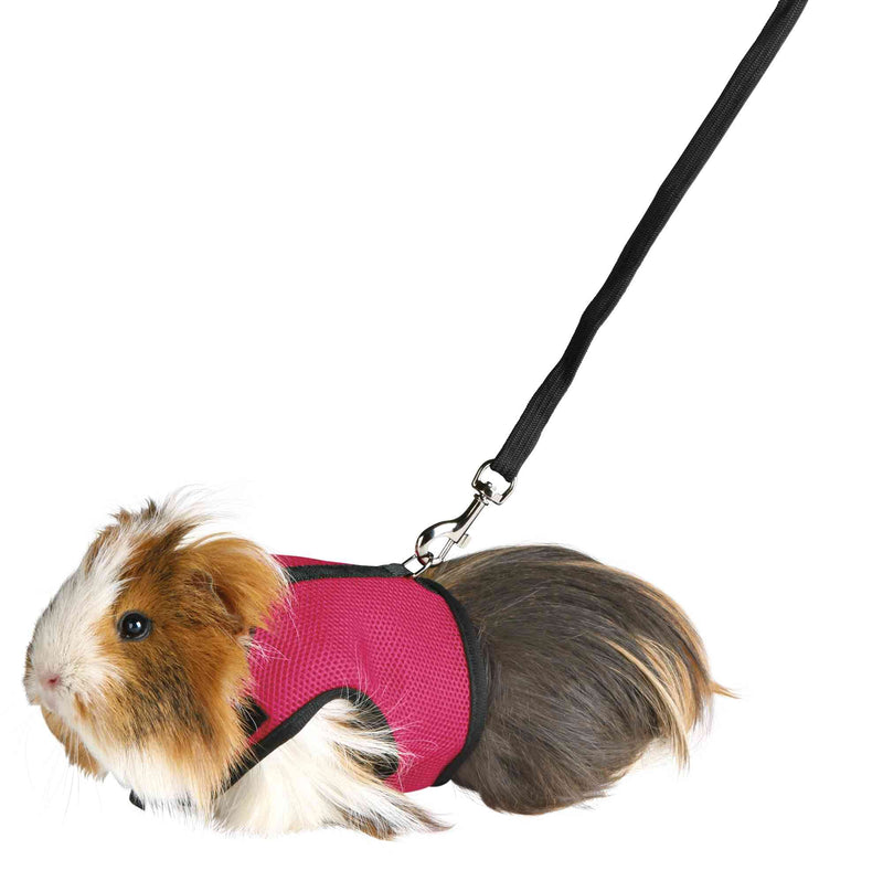 Trixie 61512 Soft Harness with Leash for Guinea Pigs, Nylon, 18-25 cm, 1.20 m - PawsPlanet Australia