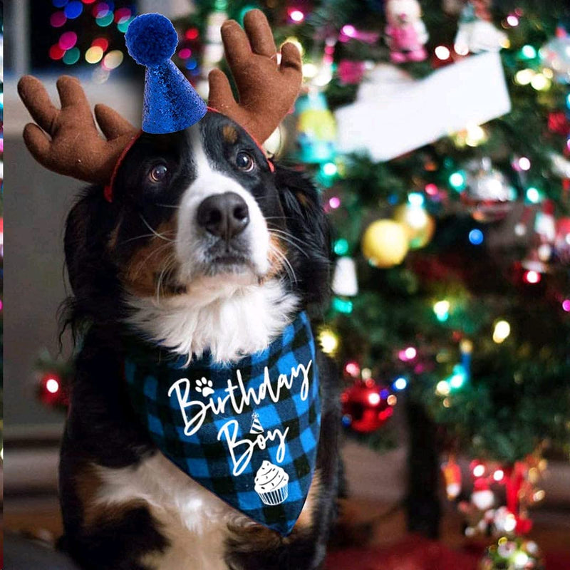 easycozy Classic Blue Plaid Pet Puppy Dog Bandana with Dog Birthday Party Hat Accessories, Boy Dog Birthday Bandana Scarf Bibs for Pet Birthday Outfit Party Supplies Set - PawsPlanet Australia