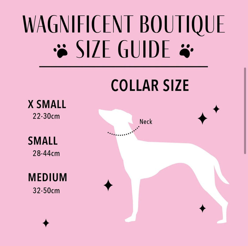 Wagnificent Boutique Soft Comfortable Neoprene Padded Adjustable Dog Collar for Pups and Cats in Sizes Extra Small, Small and Medium (Candy Clouds, Medium) Candy Clouds - PawsPlanet Australia