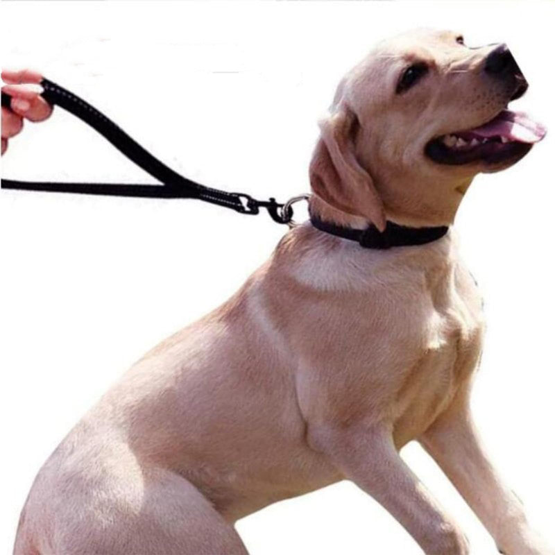 Short dog leash, training leash for dogs, nylon dog leashes, strong dog leash, dog training leash, short handler dog with 360° rotating carabiner for small, medium, large dogs (30cm) - PawsPlanet Australia