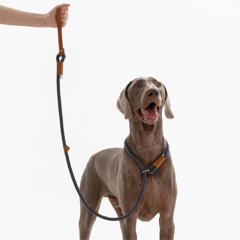 Maogoublue 5.9FT Durable Leather Leash with Sturdy Nylon Rope and Metal Rivets at The Connection Points. The Leash Features a Movable Leather Limit Buckle for Small Medium pet Dogs (Dark Blue) Dark Blue - PawsPlanet Australia