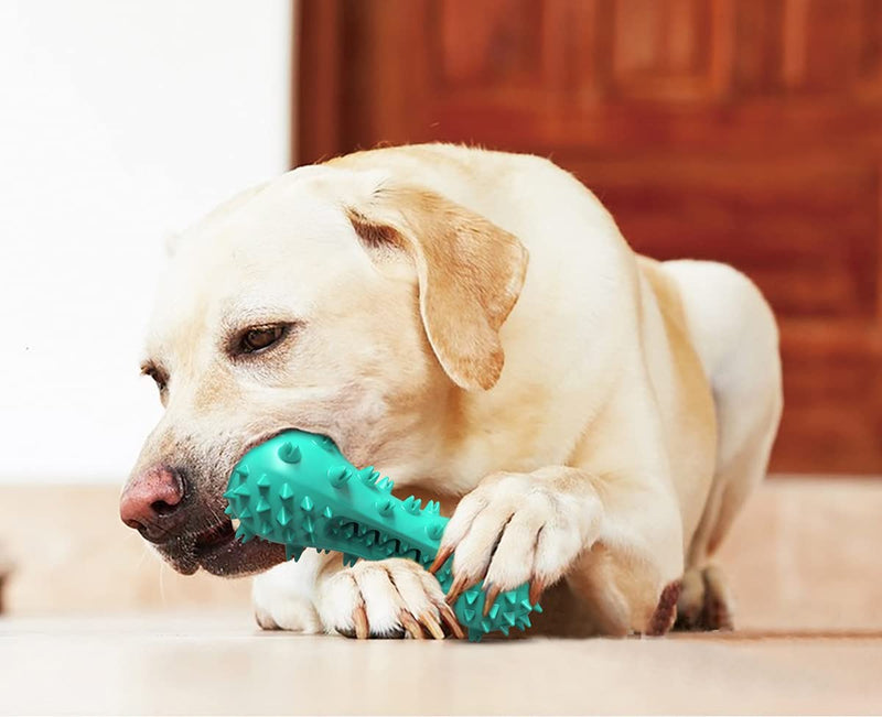 Puppy Teething Chew Toys, Dog Toys for Aggressive Chewers, Indestructible Tough Durable Dog Toothbrush Toys, Squeaky Interactive Dog Toy for Small Medium Large Breed Bone - PawsPlanet Australia