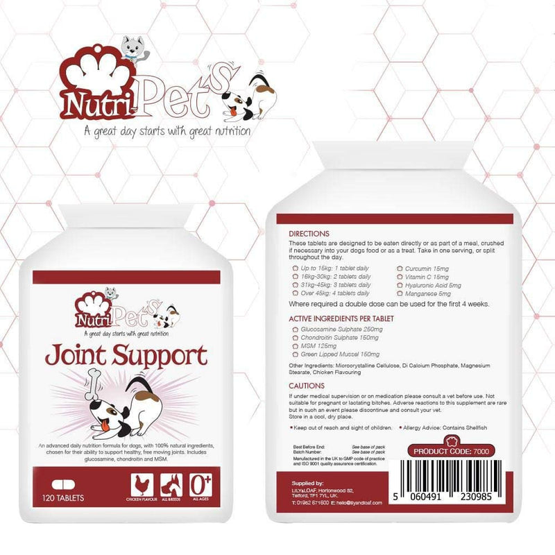 Nutri-Pets Joint Support - Premium Quality Joint Supplement for Dogs - Powerful Formula Including Glucosamine, Chondroitin, MSM, Curcumin & Hyaluronic Acid - 120 Tablets up to 120 Days Supply - PawsPlanet Australia