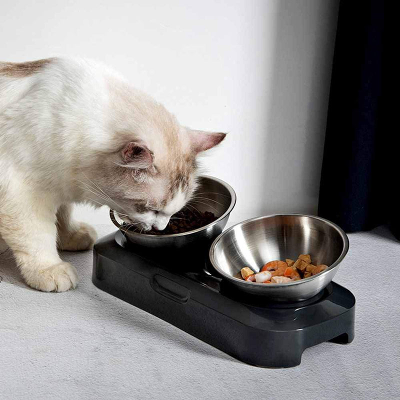 [Australia] - Shinea Raised Cat Bowls Stainless Steel Material, 15° Tilted Elevated Cat Bowl Food and Water Bowls,Pet Feeding Bowls for Cats and Small Dogs 