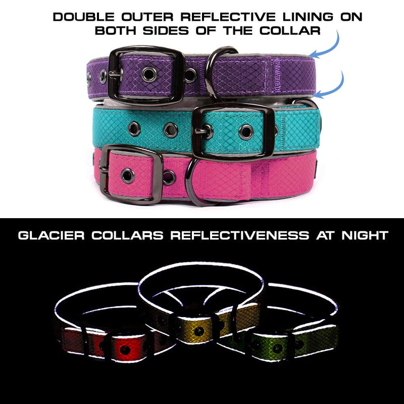 [Australia] - Max and Neo Glacier Reflective Neoprene Metal Buckle Dog Collar - We Donate a Collar to a Dog Rescue for Every Collar Sold MEDIUM (14"-18") TEAL 