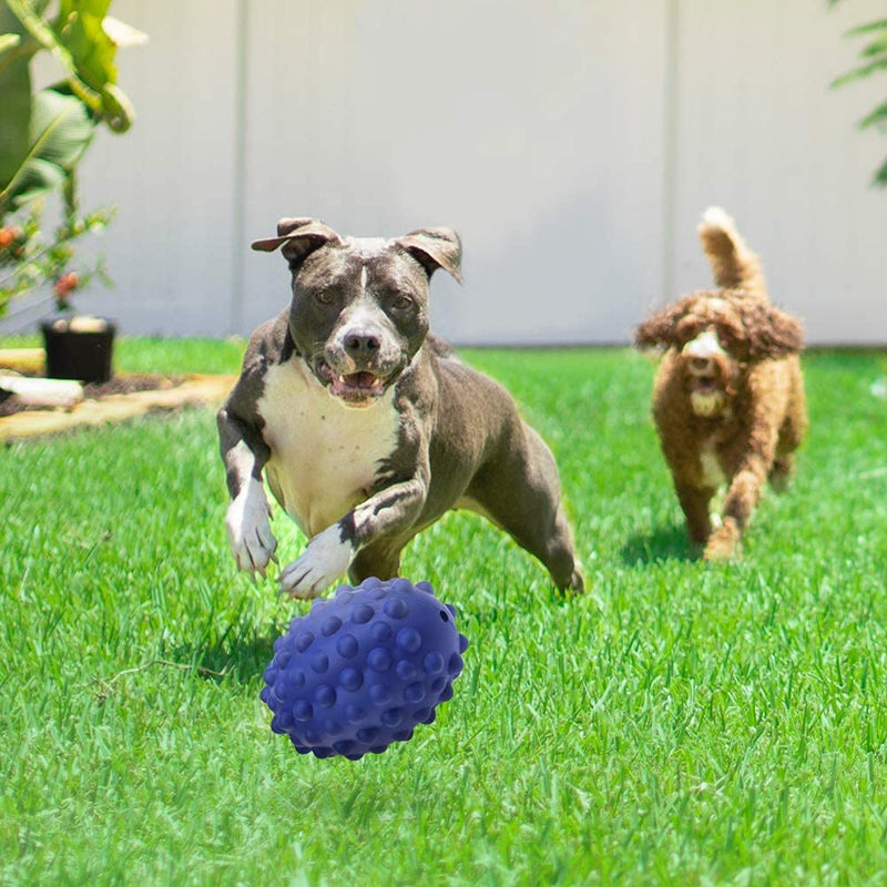 Dog Chew Toys for Aggressive Chewers Large Breed, Non-Toxic Natural Rubber Squeaky Dog Toy, Tough Durable Puppy Toothbrush Toy for Medium Large Dogs - Fun to Chew, Chase, and Fetch (Beef Flavored) Squeaky Dog Toy · Navy Blue - PawsPlanet Australia