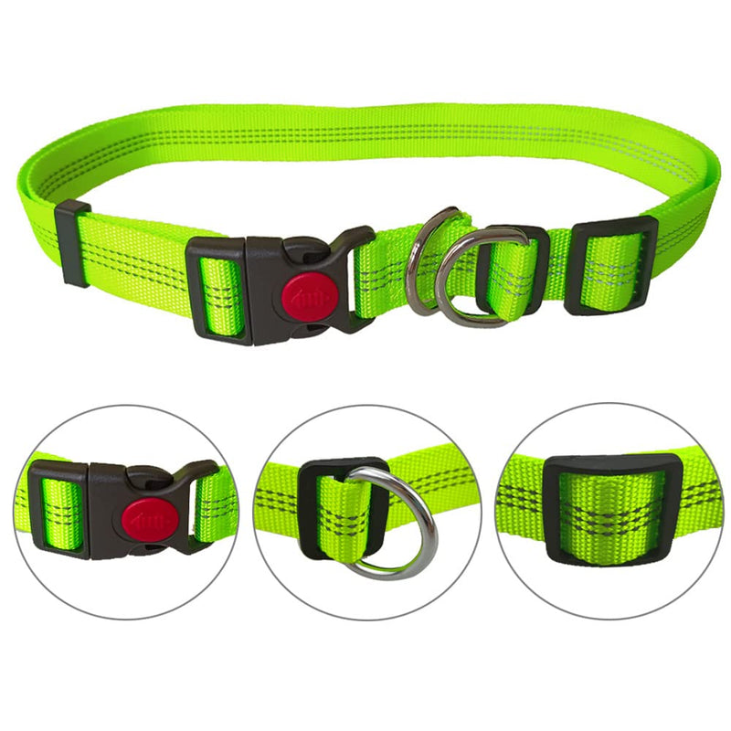 Aiqeer Hands-Free Dog Leash, Green Adjustable Waist Belt and Gray Stretchy Bungee Leash, Jogging Dog Leash with Reflective Stitching - PawsPlanet Australia