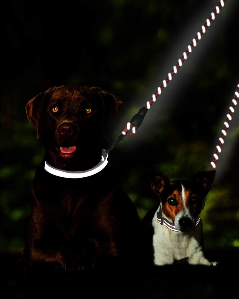 Taglory Double Dog Leash, Reflective Dual Dog Leash, 360 Swivel No Tangle Walking Double Leash for Puppy Small Dogs 30 Inch (Pack of 1) Black - PawsPlanet Australia