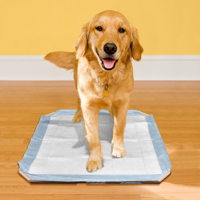 [Australia] - Vet's Best Pet Training Pad Holder 21" x 21" or larger 