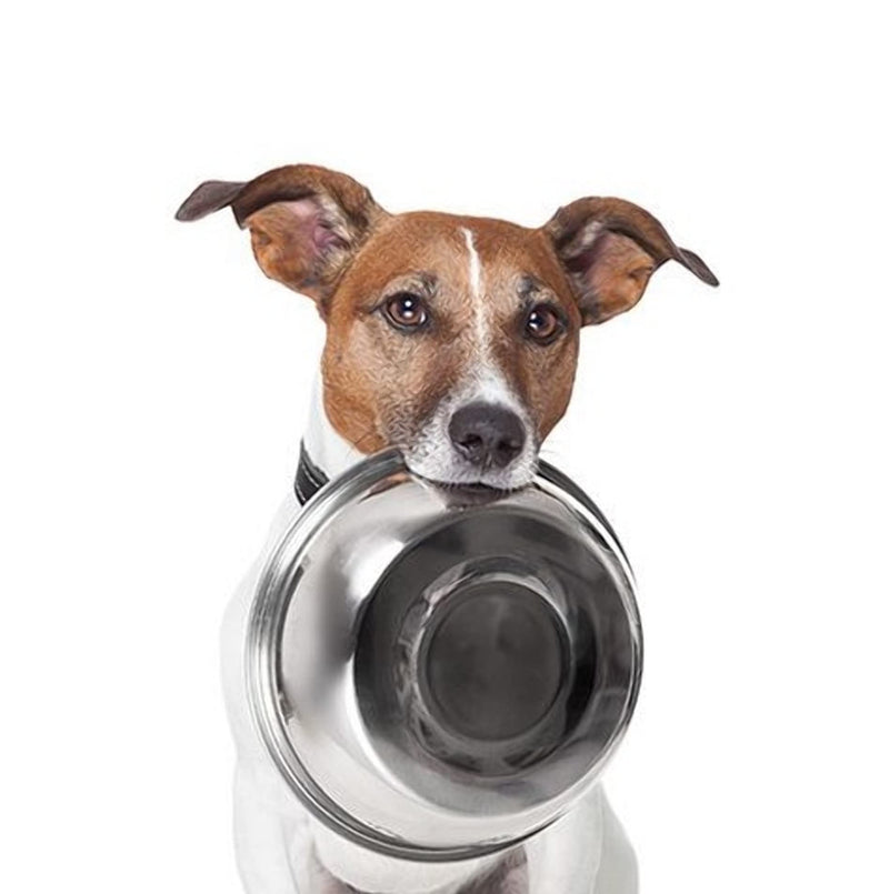 Munch & Crunch Large 21cm Stainless Steel Pet Bowl - PawsPlanet Australia