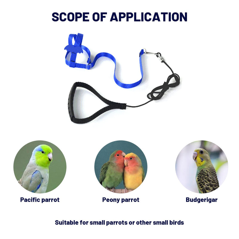 2 metre long adjustable parrot training rope, bird harness for outdoor activities, elastic strap training rope, with 1 bird foot ring. - PawsPlanet Australia