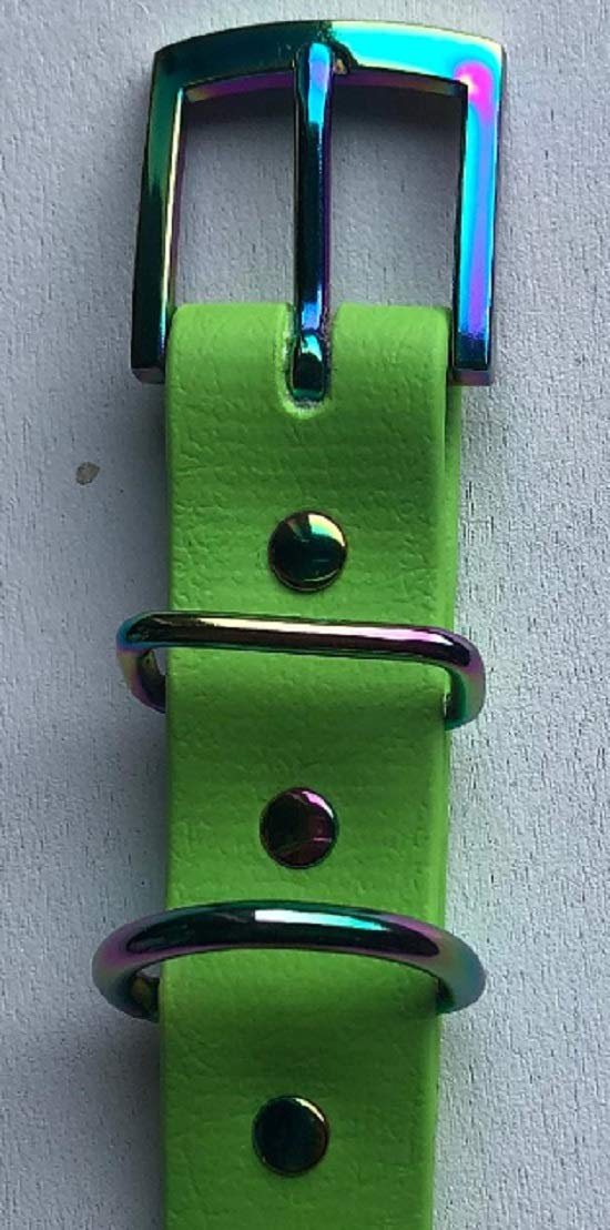 LIME GREEN BIOTHANE RAINBOW BUCKLE DOG COLLAR 19"-23" 48CM-58CM 25MM WIDE LARGE WATERPROOF HYPOALLERGENIC DURABLE VEGAN - PawsPlanet Australia