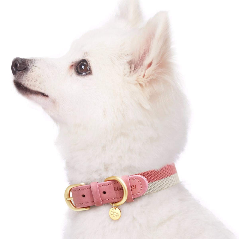 [Australia] - Blueberry Pet 11 Patterns Vintage Polyester Webbing & Genuine Leather Combo Dog Collars Leashes Collar - 1" Wide * (18"-22") Neck Pink & Grey 