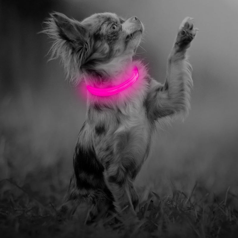 [Australia] - Domi LED Dog Collar, USB Rechargeable Light Up Collar for Small Dogs and Cats, Glowing in Dark, Reflective Collar Keep Your Puppy Be Seen& Safe XS (8.5-11.8inch / 21.5-29.9cm) Pink 