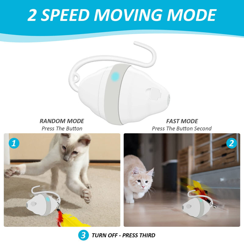 Harnestle Cat Toys Interactive Automatic Kitten Toys with Feathers Ribbon Bell Worm, USB Charging Led Light 360° Irregular Rolling Cat Moving Toys for Indoor Cats Exercise and Hunting - PawsPlanet Australia