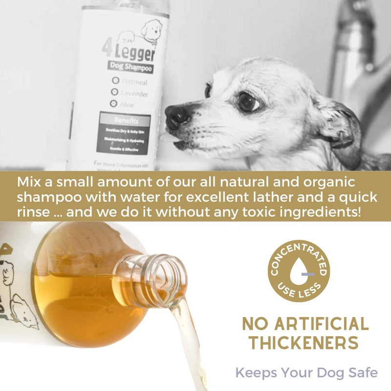 [Australia] - 4Legger Certified Organic Oatmeal Dog Shampoo with Aloe and Lavender Essential Oil - All Natural Safely Soothe, Condition and Moisturize Normal to Dry, Itchy Sensitive Skin - Made in USA - 16 oz 