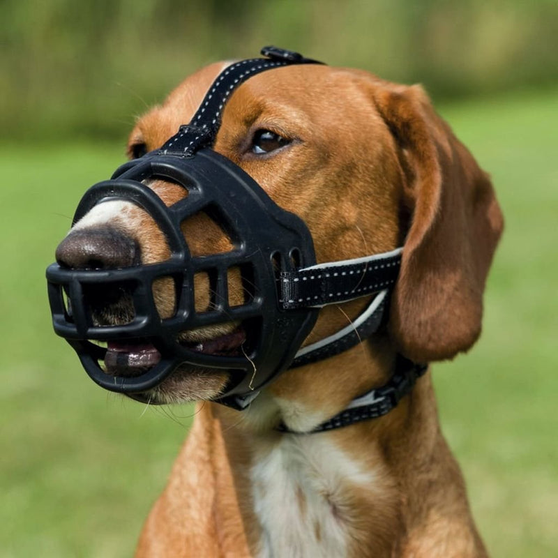 TRIXIE Muzzle for Dog - Size L-XL- Black Black Large - X-Large - PawsPlanet Australia