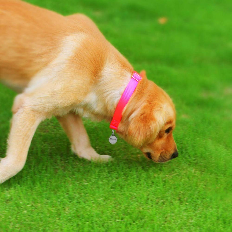 [Australia] - Dazzber Martingale Collars for Dogs, Heavy Duty Nylon Dog Collar Extra Small Pink 