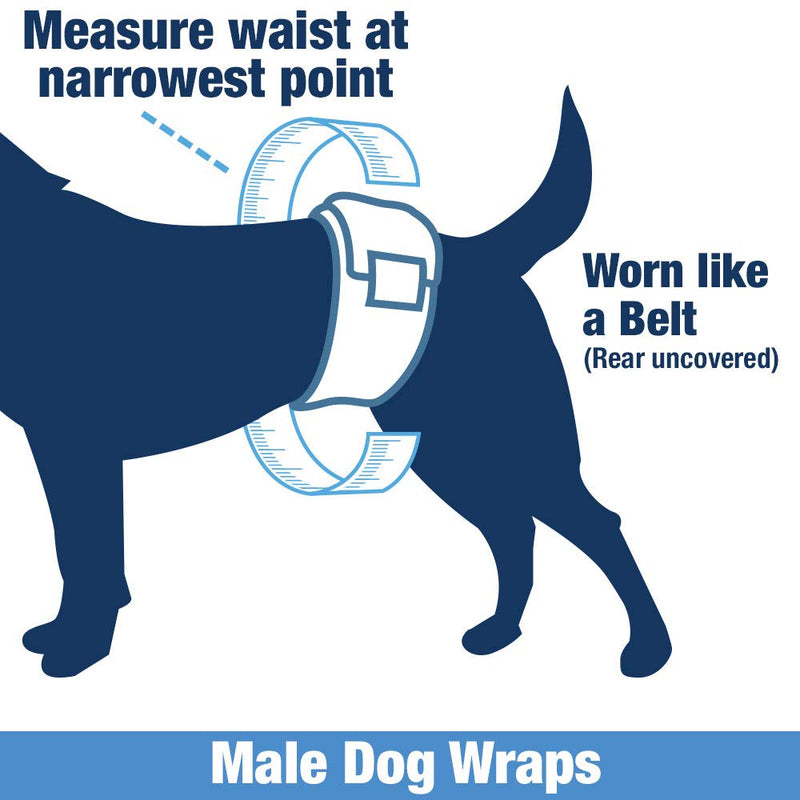 [Australia] - ValueWrap Disposable Male Dog Diapers, Wraps, 2-Tab Large, 24 Count - Absorbent Male Wraps, Incontinence, Excitable Urination, Travel, Snag-Free Fastener, Leak Protection, Wetness Indicator 