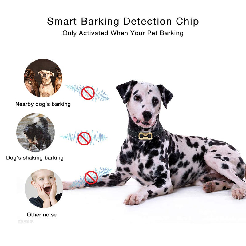 [Australia] - MASBRILL Dog Bark Collars - Effective Anti Barking No Shock Pet Dog Training Collar Stop Barking Deterrent Device Humane Vibration Beep No Barks Collar for Small, Medium Large Dogs 15-110lbs Silver/Golden 