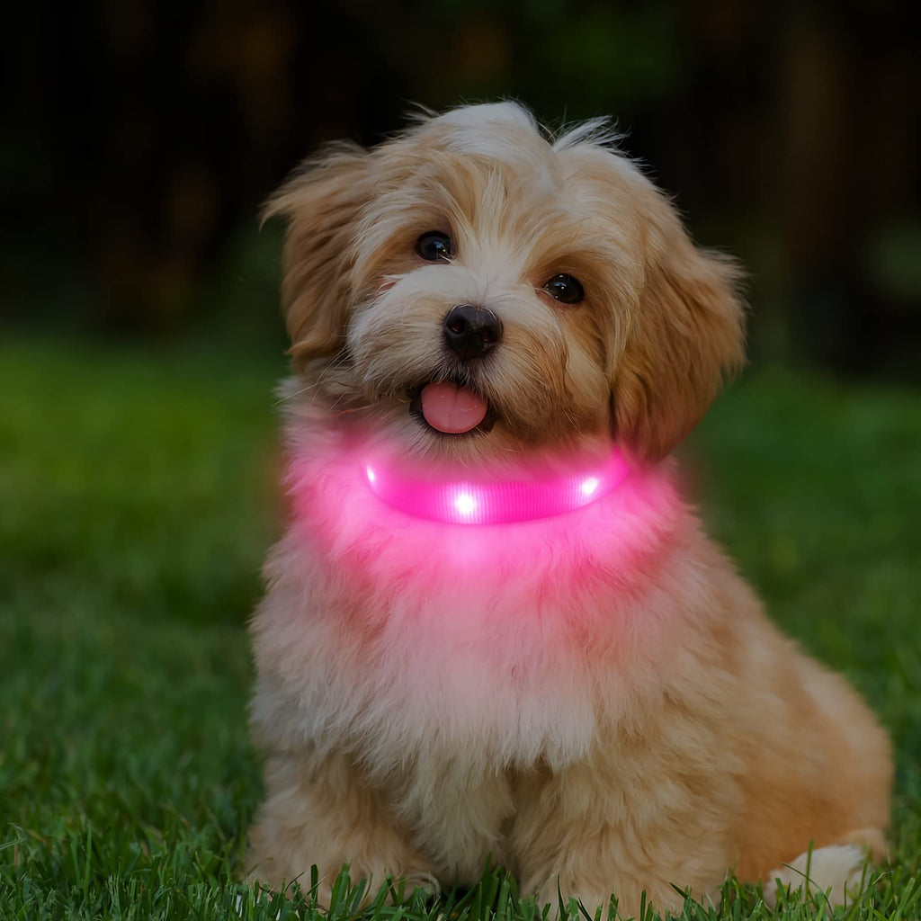 PcEoTllar Dog Collar Luminous for Small Dogs LED Collar Dogs USB Rechargeable Light Collar Luminous Collar Puppy Safety for Night with 3 Light Modes, Pink XS (25-32cm, 1.5cm) - PawsPlanet Australia