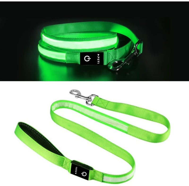 (Shared Products ) LED Dog Leash, Light Up Dog Leash, Micro USB Rechargeable, Waterproof, Nylon Webbing, Glow Safety Standard Dog Leash (Green with 2 Reflective Wires) - PawsPlanet Australia