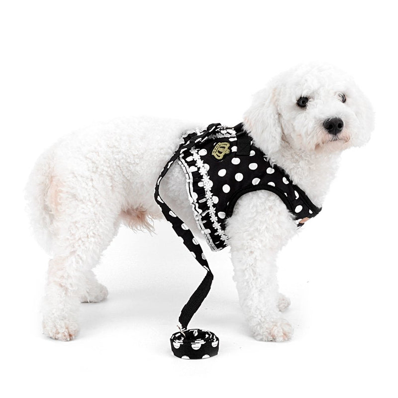 SMALLLEE_LUCKY_STORE No Pull Polka Dot Small Dog Cat Harness with Crown, Soft Mesh Padded Vest Harness and Leash Set for Girls S (chest 12.6",fit 3-5 lbs) Black - PawsPlanet Australia