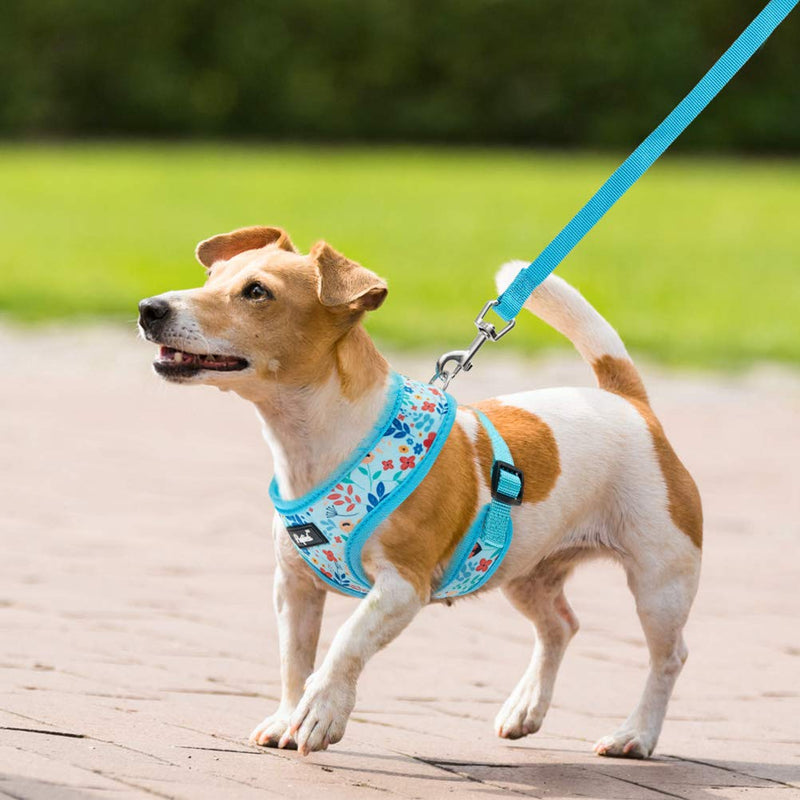 PUPTECK Breathable Dogs Harness Leash Set for Small Dogs Cats, Soft Adjustable Puppy Vest Harness No Pull with Floral Pattern S-Chest Girth: 14-18in Blue - PawsPlanet Australia