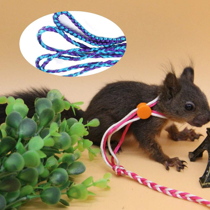 Small Animals Leash Pet Rat Mouse Hamster Harness Adjustable Small Animal Outdoor Leash Walking Training Hamster Leashes for Bunny Hamster Ferret Small Animal (blue purple) blue purple - PawsPlanet Australia