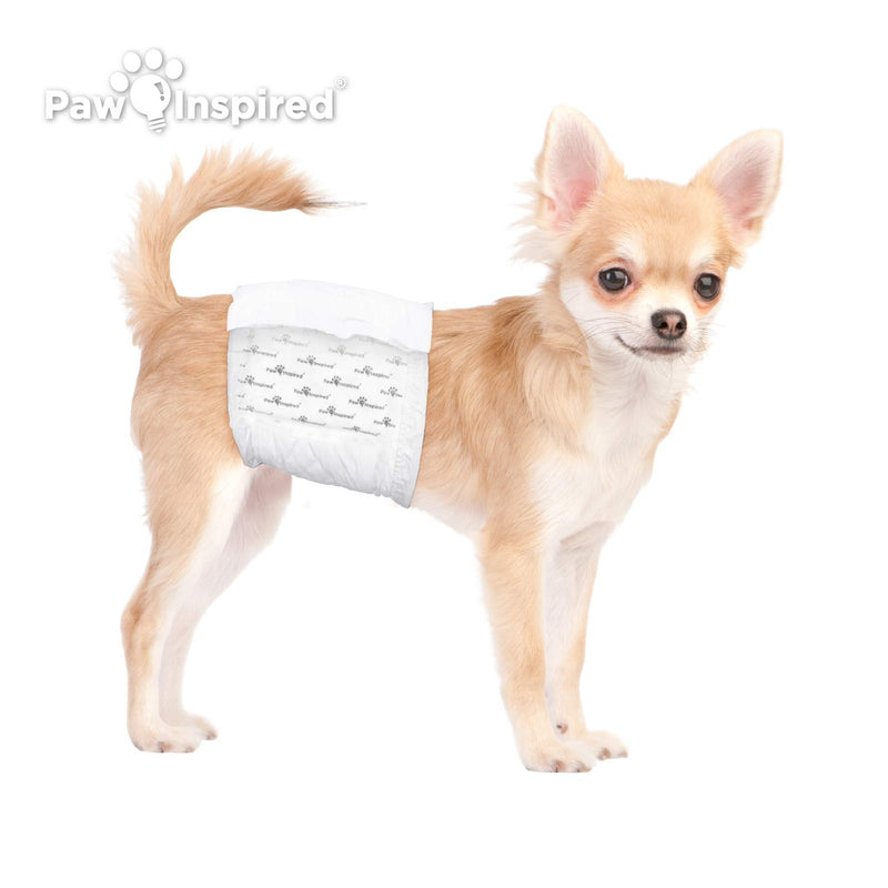 Paw Inspired 36ct Disposable Male Dog Wraps, Belly Band for Dogs | Disposable Dog Diapers Male | Belly Bands for Male Dogs | Excitable Urination, Incontinence, or Male Marking X-Small - PawsPlanet Australia