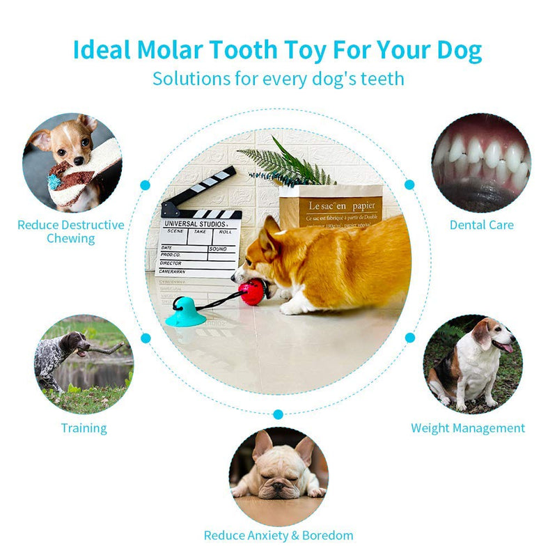 Rope ball cleaning teeth Suction Cup Dog Toy, Pet Molar Bite Toy, Dog Chew Toys, Interactive Pet Treat Ball for Chewers and Toothbrush, Dog Multifunction Interactive Ropes Toys - PawsPlanet Australia