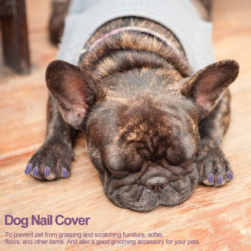 Hffheer Dog Nail Caps, Pack of 100 Colorful Soft Pet Claw Nail Caps Cover Paw Control with Glue and Applicators for Dog Claws (Violet L) Violet L - PawsPlanet Australia