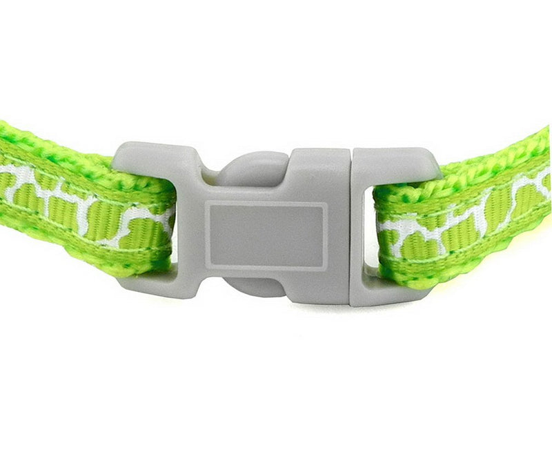 Ranphy Small Dog Halter Harness Cat Basic Harness Pet Collar with Leash Set Adjustable for Walking Training Running Hiking Green - PawsPlanet Australia