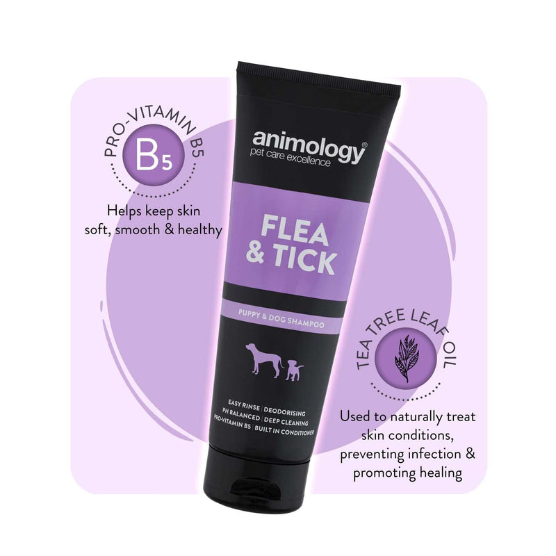 Animology Flea and Tick Shampoo For Puppies and Dogs | Medicated Tea Tree Scent | Built In Conditioner | Added Pro-Vitamin B5 | PH Balanced | Soothes Irritated Bitten skin | 250ml Pack 250 ml - PawsPlanet Australia