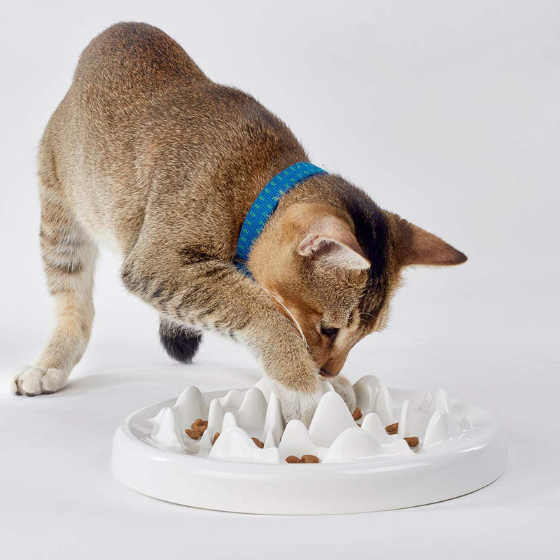 [Australia] - DotPet Slow Feeder Bowl, Ceramic Fun Interactive Feeder Bloat Stop Cat Bowl Preventing Feeder Anti Gulping Healthy Eating Diet Pet Bowls Against Bloat, Indigestion and Obesity 