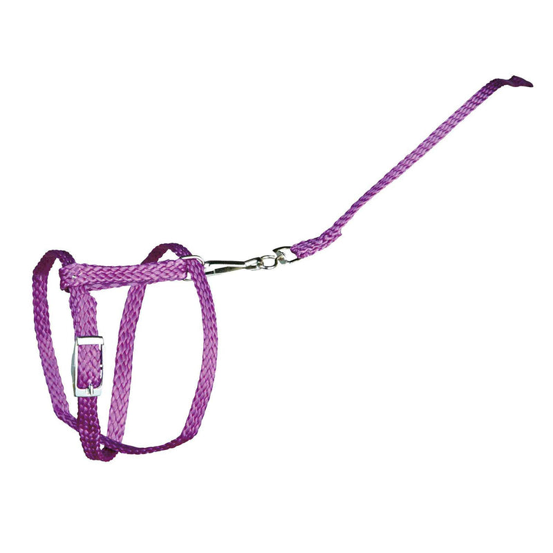 Trixie Nylon Harness with Leash for Rabbit and Small Rodent  6150 (Colors may vary) 25 - 44 cm x 8 mm - PawsPlanet Australia