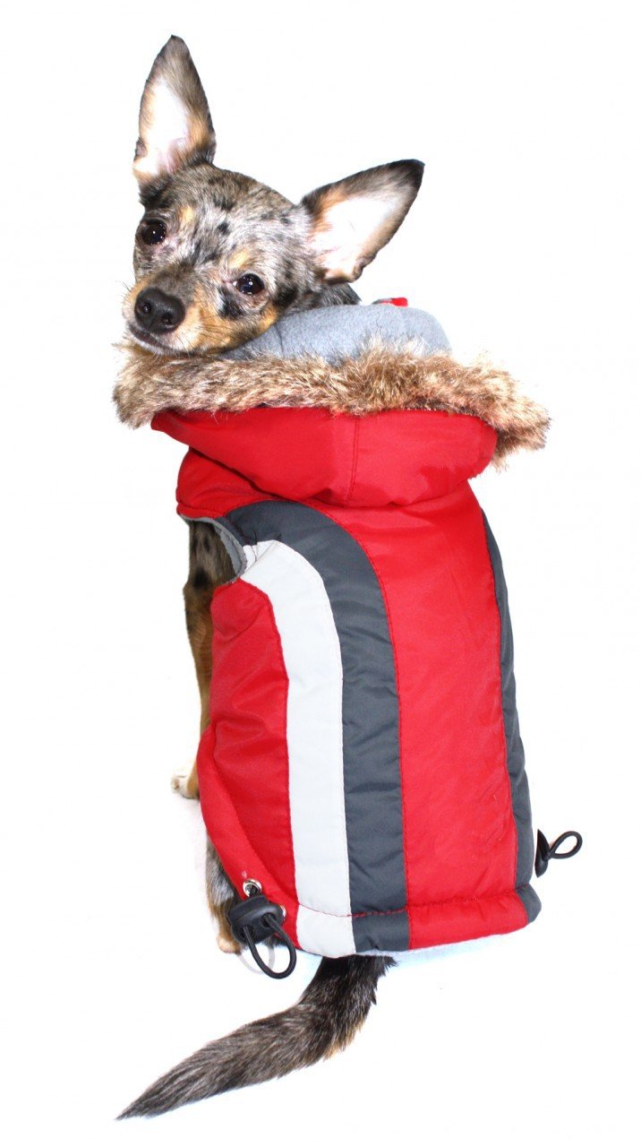 Hip Doggie HD-5SARD-BDXS Swiss Alpine Dog Coat XS Red - PawsPlanet Australia