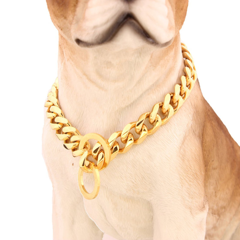 [Australia] - GZMZC 12/15/19mm Strong Gold Plated Stainless Steel Choker Dog Pet Chain Collars Necklace 12-36inch 12mm width 12" recommend dog's neck:8" 