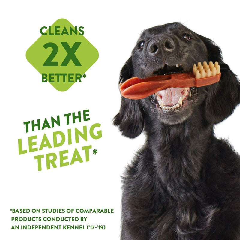 WHIMZEES Natural Dental Dog Chews Long lasting, Medium Toothbrush, 30 Pieces- Amazon Exclusive - PawsPlanet Australia