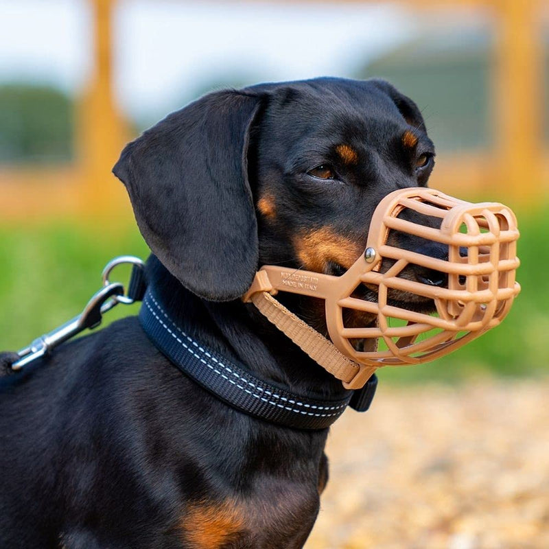 Safe BASKERVILLE ANTI SCAVENGE MUZZLE, Breathable, Dog can Pant and Drink, Prevents Biting and Food Waste Scavenging, Dog Training Muzzle for Small, Medium, Large, Dogs, Perfect for Longer Nosed Dogs 1 - PawsPlanet Australia
