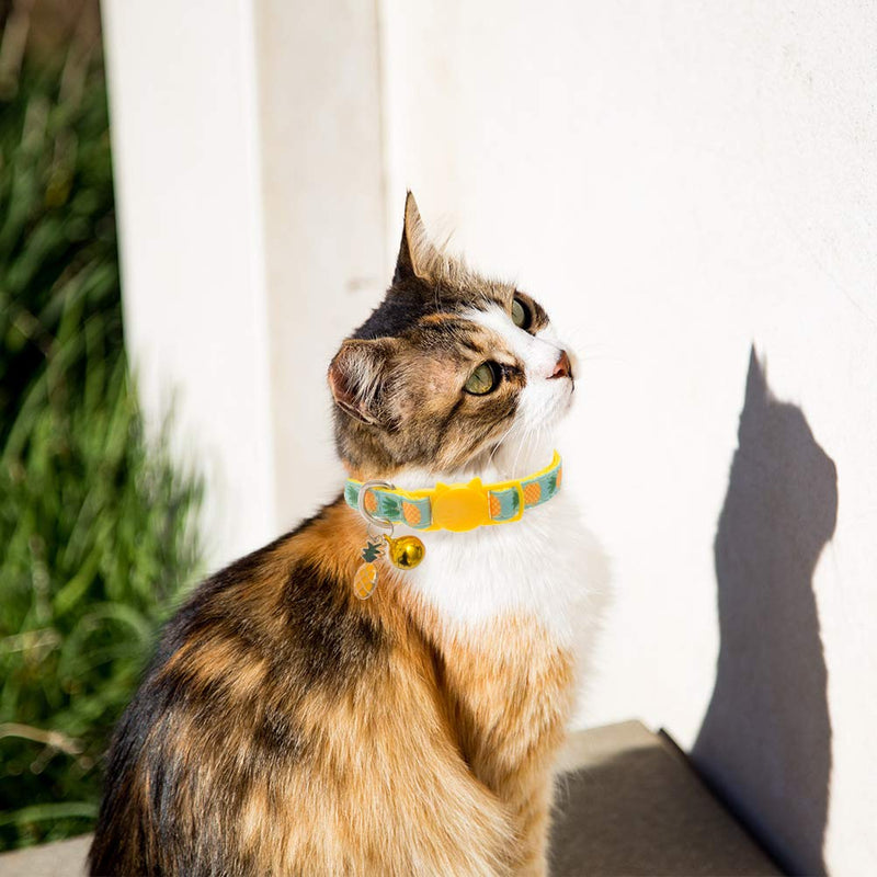 [Australia] - BINGPET Breakaway Cat Collar with Bell, 2 Pack Safety Adjustable Cat Collars Set, Pineapple & Cherry 