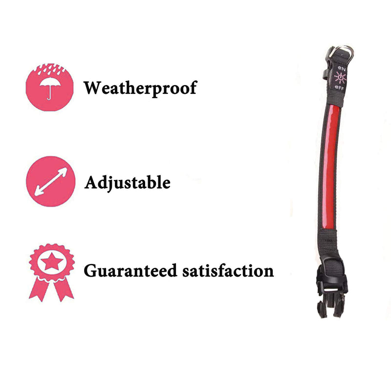 LED Dog Collar Light Up Dog Collar USB Rechargeable Waterproof,Night Dog Band with 3 Glowing Modes,Makes Your Dog Visible, Safe & Seen (red) (red, M) red - PawsPlanet Australia