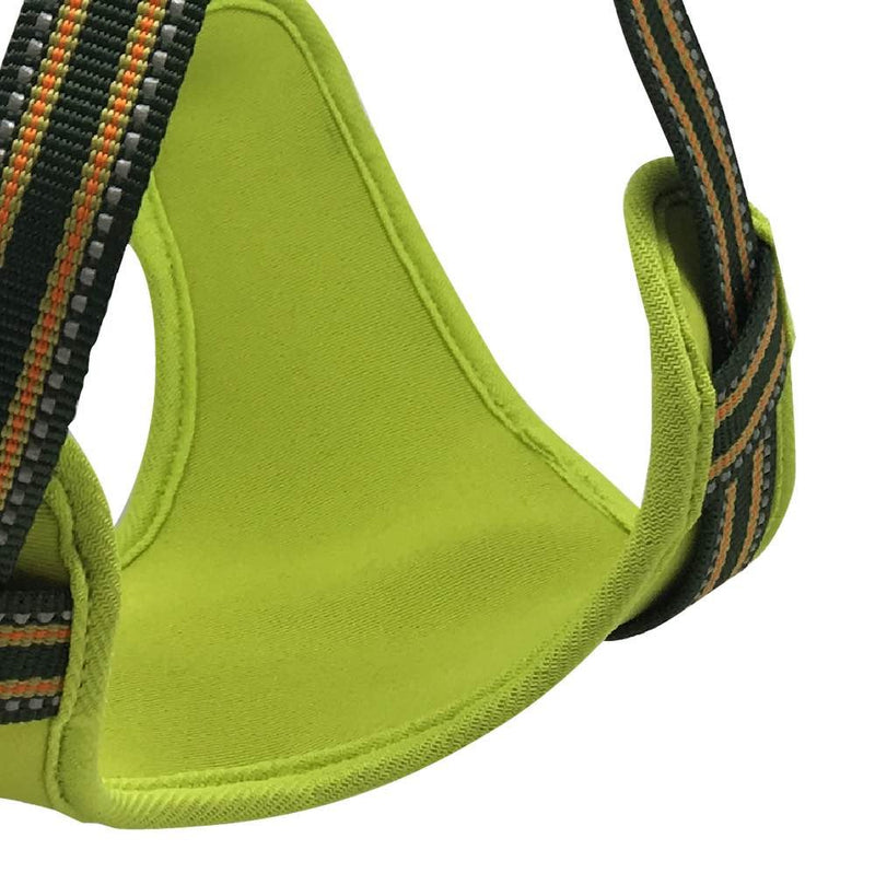 Long Paws Comfort Reflective Padded Step-in Dog Harness, Large, Green - PawsPlanet Australia