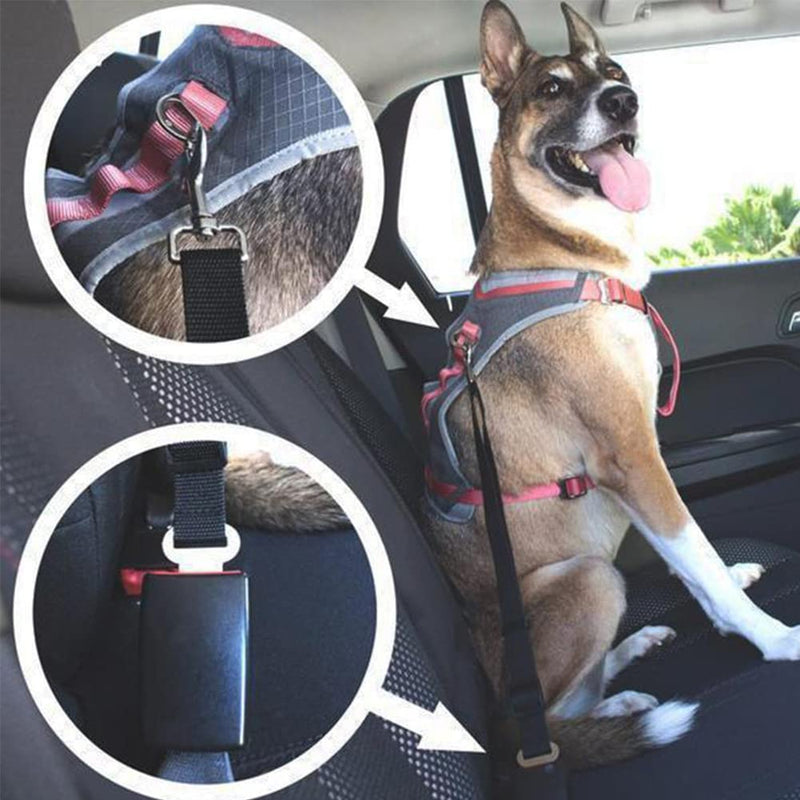 Dog belt for car, seat belt dog car, dog adjustable seat belt, seat belt cat car, dog belt for car small dogs, dog seat belt, adjustable dog belt black - PawsPlanet Australia
